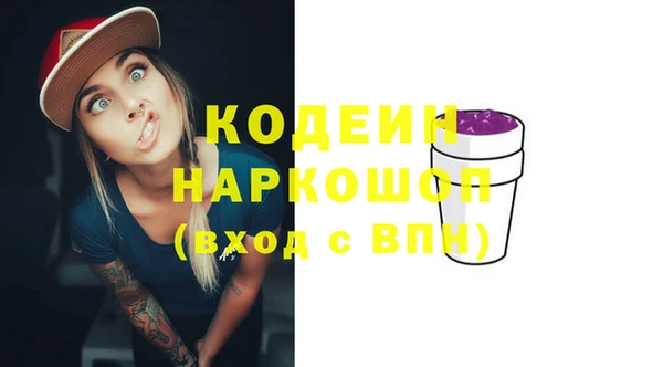 дживик Заводоуковск