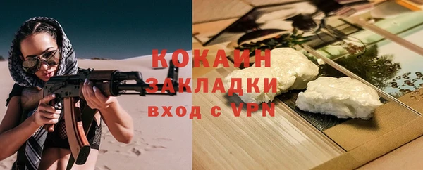 стаф Болотное